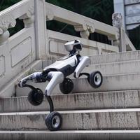 Robot chien quadrupède à roues pour l'éducation, le divertissement, la recherche et la mobilité en extérieur