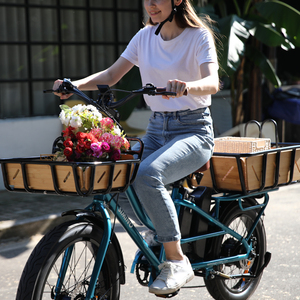 มอเตอร์จักรยานไฟฟ้าแบบไร้แปรงถ่านรุ่นใหม่ 500w จักรยานไฟฟ้า 2 ล้อ โครงอะลูมิเนียม รับน้ำหนัก 200 กก. แบตเตอรี่ลิเธียมคู่ ระยะทางไกล C - Product Image 6