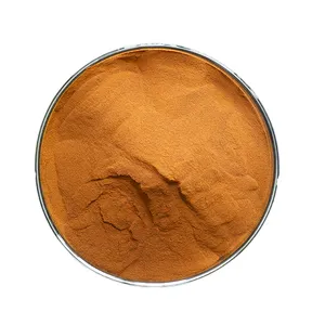 Personalização maciça BIO Fulvic Acid Powder 98% Fulvic Acid Potassium