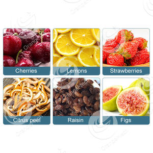 ORME Machine à tremper le sucre <span class=keywords><strong>sous</strong></span> <span class=keywords><strong>vide</strong></span> industriel bouilloire à pression chaudière marmite réservoir d'imprégnation au sucre des fruits - Product Image 6