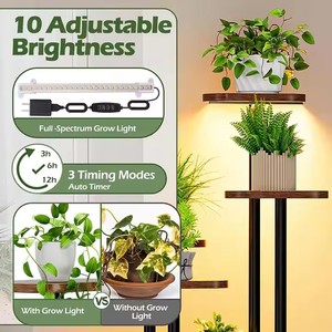 Étagère à <span class=keywords><strong>plantes</strong></span> à 6 niveaux <span class=keywords><strong>pour</strong></span> l'intérieur et la lumière élèvent la lumière en pot support de <span class=keywords><strong>plantes</strong></span> en métal étagère de support de pot de fleur <span class=keywords><strong>pour</strong></span> la maison jardin extérieur intérieur - Product Image 3