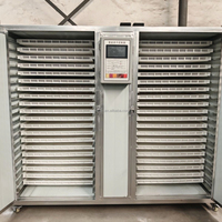 Déshydrateur alimentaire industriel entièrement automatique pour fruits, légumes, poivrons, curcuma, oignons, épices