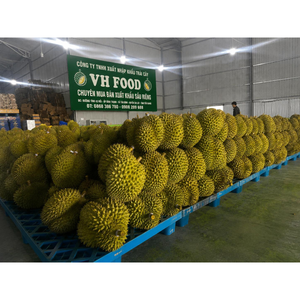 ผลไม้เขตร้อนเวียดนาม รสชาติเข้มข้น สดใหม่ ทุเรียนทั้งลูก เกรด RI6-B ขนาด 20-30 ซม. น้ำหนัก 1.8-2.5 กก. สีเหลืองธรรมชาติ VH Food อายุการเก็บรักษา 1 เดือน - Product Image 1