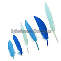 Plume de canard naturelle bleue pour Arts artisanat bricolage coiffure chapeau cheveux Costume accessoire carnaval fête mariage maison Halloween décor