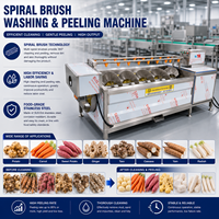 Laveuse commerciale à rouleaux brossés pour le traitement des légumes (pommes de terre, manioc, gingembre, carottes et autres légumes-racines)