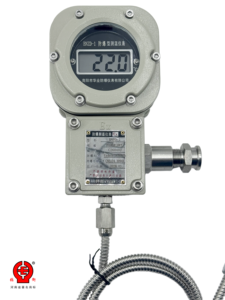 Ex d IIC T6 Flameproof Digital Temperature Gauge Battery Powered Pt100 RTD IP66 Stainless Steel <strong>Probe</strong> - Product Image 3