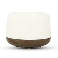 Mini humidificateur ultrasonique électrique USB en plastique, diffuseur d'huiles essentielles, aromathérapie, LED changeant de couleur, hôtel, maison, 1 an
