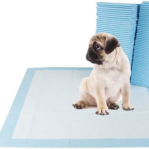Alfombrilla Superabsorbente Impermeable para Cachorros, Desechable, de Polímero, de Secado Rápido, Anti-Fugas, para Entrenamiento de Orina para Perros - Product Image 1