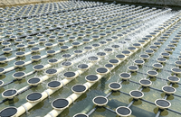 Système d'aération par souffleur à racines, diffuseur à nano-tubes pour aquaculture RAS, directement de l'usine
