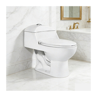 WC monobloc 3/6L à économie d'eau, design siphonique à double chasse, 300 mm, pour l'Amérique latine