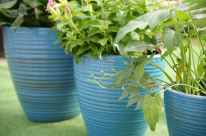 Pot de fleurs en céramique respirant, style moderne, livraison rapide et conviviale - Product Image 5