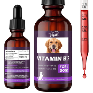 ויטמין <span class=keywords><strong>b12</strong></span> מטיקובאלאמין טיפות לכלבים-ספיגה מהירה תמיכה חיסונית בטוחה מטפלת בבלב מגביר את תאי הדם האדומים - Product Image 1