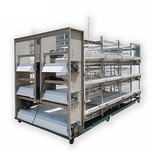 Broiler için otomatik Broiler kafes sistemi uzay tasarrufu kanatlı çiftlik yapı kafes sistemi - Product Image 3