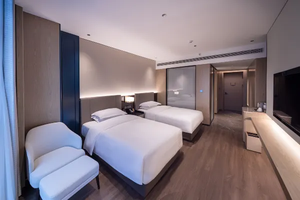 Nuevo Juego de Muebles de Dormitorio de Lujo Moderno con Marco de Madera Sólida y Mosquitero, Personalizado para Villas y Hoteles - Product Image 5