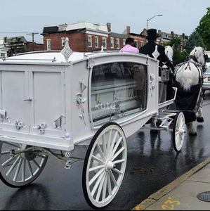 Carroza Fúnebre Eléctrica Decorada en Blanco y Dorado, Elegante Vagón de Transporte Funerario - Product Image 6