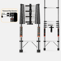 Échelle télescopique industrielle en acier inoxydable, capacité de charge 150 kg, antidérapante, verrouillage de sécurité, OEM personnalisé, directement de l'usine