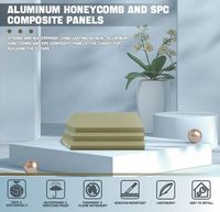 Panneau composite en aluminium alvéolaire SPC ignifuge et imperméable, revêtu de PVC, pour mur intérieur, fond de télévision, hôtel