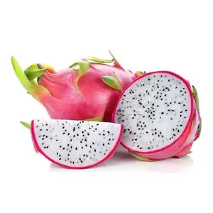 Vietnamese White Heart Dragon Fruit 5 KG per Box Dragon Fruit Exporter Dragon Fruit Plant for Sale