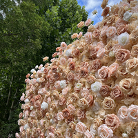 Starmap Décoration Murale Extérieure Élégante et Durable en Soie Rose pour Mariages, Écologique, pour l'Approvisionnement Transfrontalier