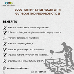 Aditivo probiótico para alimentación de camarones para una mejor absorción - Product Image 1