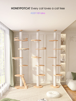 Plafond réglable tour d'arbre à chat grands chats Condo activité de capture plate-forme sautante multicouche arbre à chat en bois