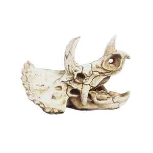 Tianbo Kunstharz-Dinosaurierschädel Umweltfreundliche Innendekoration für Reptilien- und Amphibienbedarf 16x8x11cm - Product Image 1