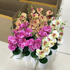 37Cm Kleine Potplanten Phalaenopsis Orchidee Bloemen Kunstmatige Phalaenopsis Bonsai - Product Image 2