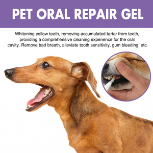 Gel de Cuidado Bucal Ecológico y Seguro para Perros y Gatos, Limpieza Dental, <span class=keywords><strong>Aliento</strong></span> Fresco, Antifúngico, Aroma Natural a Menta, Solución Dental - Product Image 2