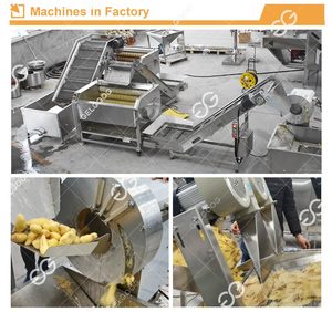 Automatique Gingembre Séché Laver Coupe Blanchiment Machine de Séchage de Poudre De Gingembre Ligne de Production - Product Image 6