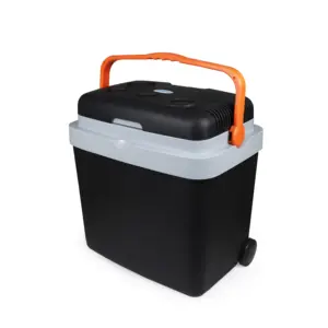 33 Litre RoHS CE GS for car home portable mini refrigerator mini thermoelectric cooler and warmer box with trolley