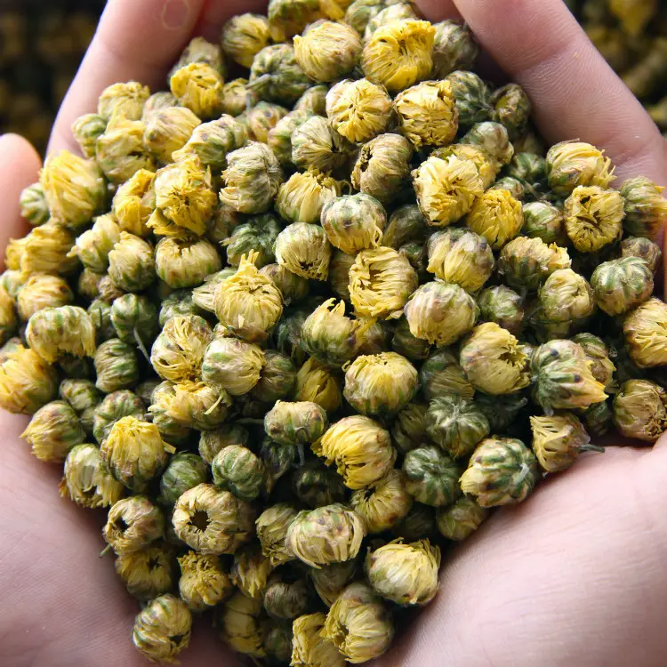 Venta al por mayor de té de hierbas chinas-té de flores de crisantemo fetal de alta calidad