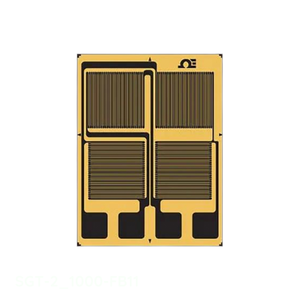 SGT-<span class=keywords><strong>2</strong></span>/1000-fb11 Full-Tarwesteen Brugspanning Ga Rekstrookjes - Product Image 1