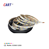 Bande LED SMD 2835 CCT 10 mm, alimentation d'usine, 24 V CC, 120 SMD/m, IP20/65/67/68, télécommande, intérieur/extérieur