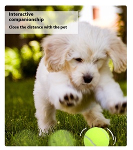 Juguete Masticable para Perros, Pelota de Tenis Elástica Resistente a las Mordidas, Pelota de Entrenamiento para Mascotas, Pelota de Tenis Duradera, Juguete Interactivo para Mascotas de Color Personalizado - Product Image 6
