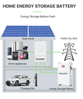 Batterie LiFePO4 51,2 V 314 Ah en kit avec communication CAN, Grade A, murale pour stockage d'énergie solaire DIY, livraison DDP UE PL