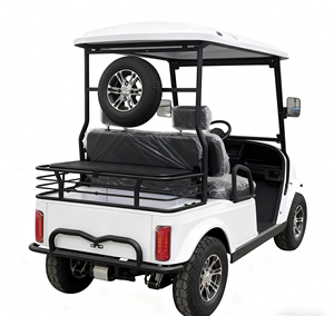 HKBG Nouveau Scooter Électrique à Quatre Roues avec Moteur Brushless et Batterie au Lithium, Vitesse 25km/h, Autonomie 60-80km, Capacité 150kg - Product Image 2