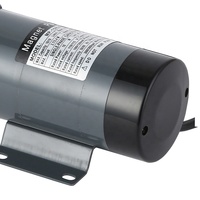 110V/220V Home Brew MP-15 304 SS Head 19LPM Pompe à couplage magnétique de qualité alimentaire Filetage 1/2 "BSP/NPT