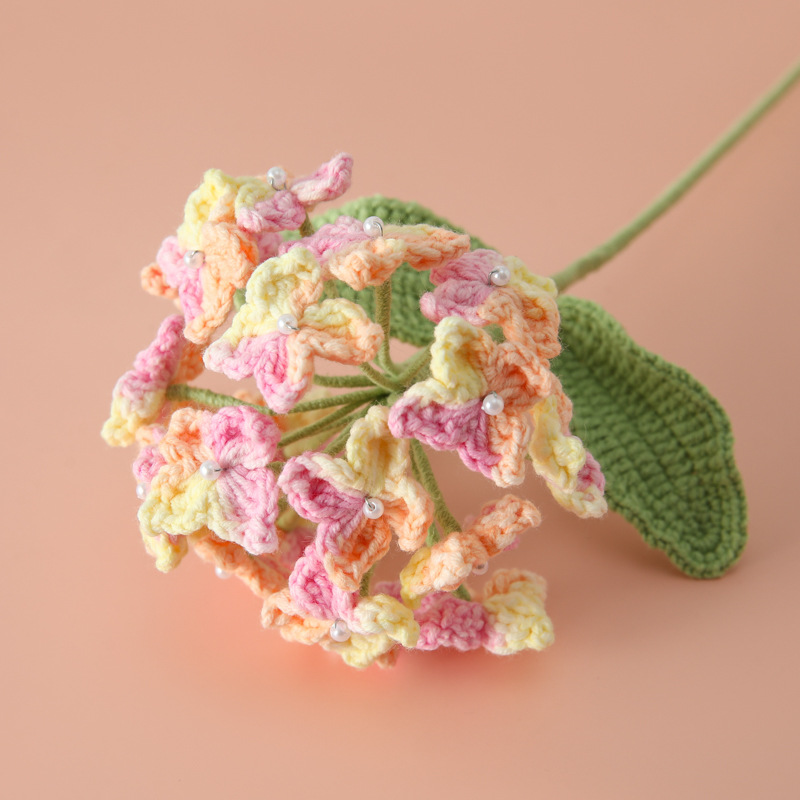 Rosa-1