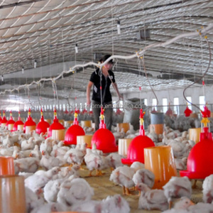 RS-76 động vật trang trại thiết bị gia cầm Gà feeders và người uống nhựa gà Feeder xô - Product Image 6