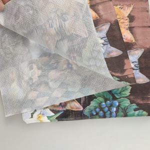 ผ้าเช็ดปากกระดาษค็อกเทลตกแต่ง3ชั้นลายแมวสัตว์เลี้ยงสำหรับปาร์ตี้วันหยุดงานปาร์ตี้ - Product Image 6