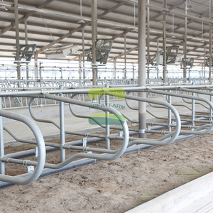 Progettazione Chiavi in Mano di Allevamenti di Bovini e Ovini con Fornitura Completa di Attrezzature per Uso in Allevamenti di Bovini da Latte e Ovini - Product Image 6