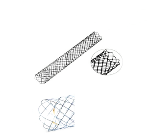 Groothandel Professionele Uitbreidbare Nitinol <span class=keywords><strong>Stents</strong></span> Voor Honden Veterinair Instrument Chirurgisch Gesteriliseerd Voor Dierenziekenhuizen - Product Image 5