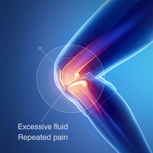Máquina masajeadora de rodilla con compresa caliente para fisioterapia con logotipo personalizado, masajeador de rodilla con vibración calentada para aliviar el dolor articular - Product Image 6