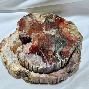 Tranche de pierre fossile pétrifiée en bois poli, artisanat, pierre et bois irréguliers pour l'artisanat décoratif en cristal pour la guérison - Product Image 5
