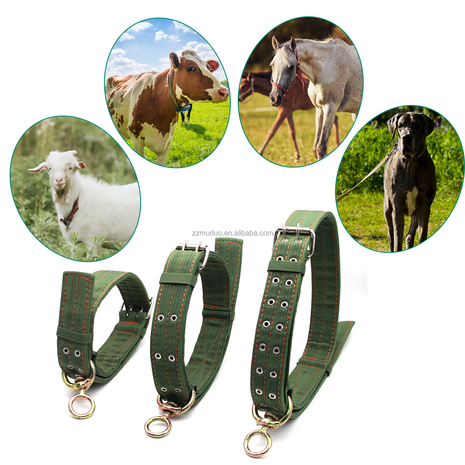 Verstellbares Rinderhalsband aus dickem Canvas, Gren S/M/L, grn