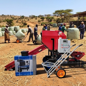 Machine <span class=keywords><strong>à</strong></span> emballer et <span class=keywords><strong>à</strong></span> ensacher le maïs, le foin et l'ensilage multi-usages, prix de vente - Product Image 6