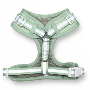 Nuovo prodotto imbracatura per cani morbida imbottita guinzagli collare per animali domestici accessori per camminare per cani - Product Image 3