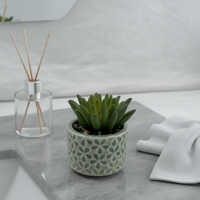 Mini-plantes succulentes artificielles en pot avec pot rond en céramique, décoration de maison écologique verte pour Pâques et mariages, vente en gros