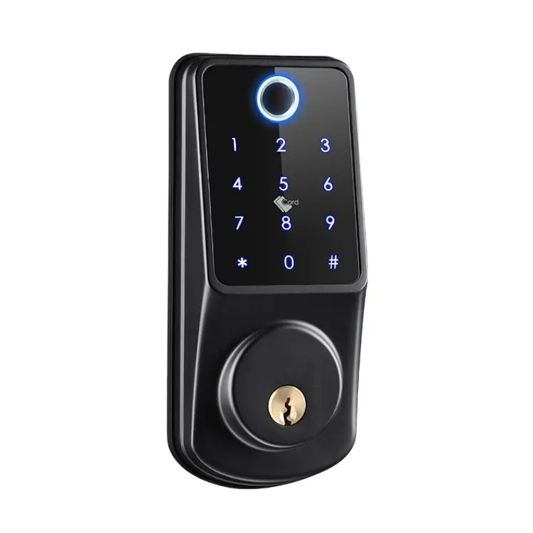 Дверной замок для безопасности Lermom, врезной цилиндр с паролем и RFID-картой, со сканером отпечатков пальцев, умный стальной деревянный замок