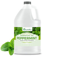 Fournisseur en gros d'huile de menthe poivrée biologique - Extrait naturel de menthe à l'odeur fraîche, puissant répulsif contre les souris et les rats